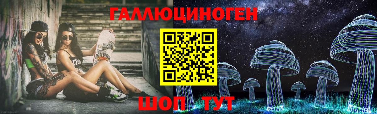 Псилоцибиновые грибы мицелий Сатка