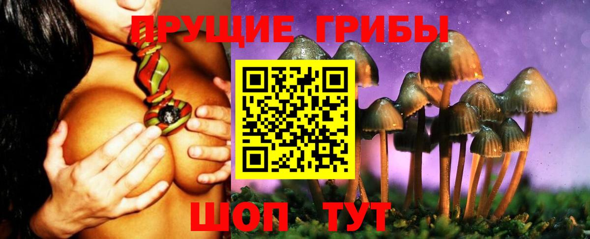 Сатка  Псилоцибиновые грибы Cubensis  Псилоцибиновые грибы MAGIC MUSHROOMS  Вход с VPN 